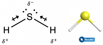 The structure shows a sulfur atom with two lone pairs of electrons single bonded to two hydrogen atoms. Near the sulfur is a dipole symbol with a superscripted negative sign. Near each hydrogen is a dipole symbol with a superscripted positive sign.