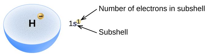 A light blue hemisphere is labeled H. At a location about midway between the center and outer edge of the hemisphere, a small yellow-orange sphere is shown that is labeled with a negative sign. To the right of this diagram is the electron configuration 1 s superscript 1. The superscript is shown in a small yellow-orange circle. This superscript is labeled, “Number of electrons in subshell,” and the s is labeled, “Subshell.”