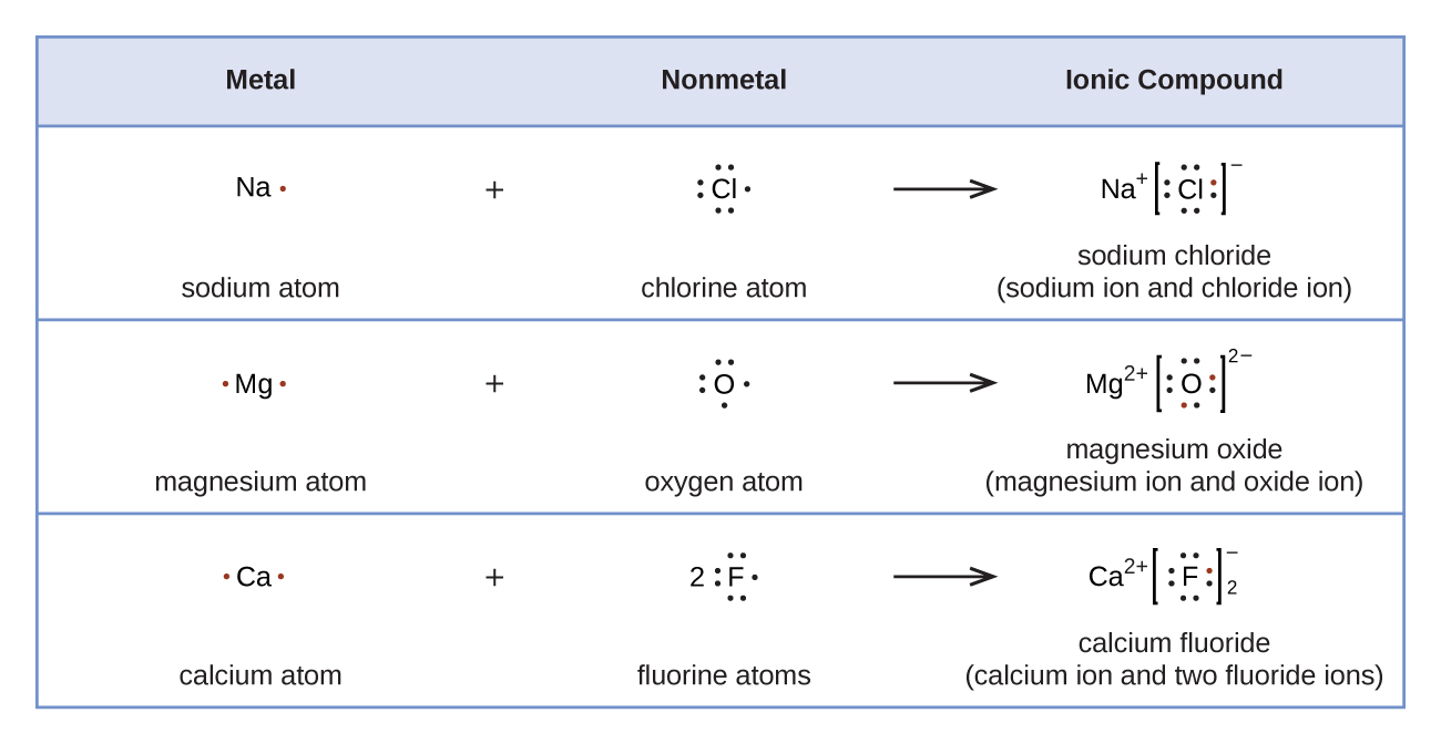 A table is shown with four rows. The header row reads “Metal,” “Nonmetal,” and “Ionic Compound.” The second row shows the Lewis structures of a reaction. A sodium symbol with one dot, a plus sign, and a chlorine symbol with seven dots lie to the left of a right-facing arrow. To the right of the arrow a sodium symbol with a superscripted plus sign is drawn next to a chlorine symbol with eight dots surrounded by brackets with a superscripted negative sign. One of the dots on the C l atom is red. The terms “sodium atom,” “chlorine atom,” and “sodium chloride ( sodium ion and chloride ion )” are written under the reaction. The third row shows the Lewis structures of a reaction. A magnesium symbol with two red dots, a plus sign, and an oxygen symbol with six dots lie to the left of a right-facing arrow. To the right of the arrow a magnesium symbol with a superscripted two and a plus sign is drawn next to an oxygen symbol with eight dots, two of which are red, surrounded by brackets with a superscripted two a and a negative sign. The terms “magnesium atom,” “oxygen atom,” and “magnesium oxide ( magnesium ion and oxide ion )” are written under the reaction. The fourth row shows the Lewis structures of a reaction. A calcium symbol with two red dots, a plus sign, and a fluorine symbol with a coefficient of two and seven dots lie to the left of a right-facing arrow. To the right of the arrow a calcium symbol with a superscripted two and a plus sign is drawn next to a fluorine symbol with eight dots, one of which is red, surrounded by brackets with a superscripted negative sign and a subscripted two. The terms “calcium atom,” “fluorine atoms,” and “calcium fluoride ( calcium ion and two fluoride ions )” are written under the reaction.