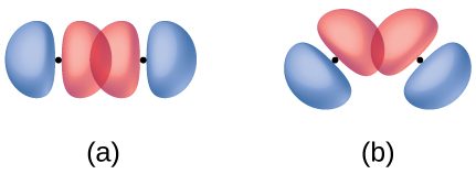 Two diagrams are shown. Diagram a contains two molecules whose p orbitals, which are depicted as two balloon-shaped structures that meet together to form a peanut shape, are laid end over end, creating an area of overlap. In diagram b, the same two molecules are shown, but this time, they are laid out in a way so as to form a near-ninety degree angle. In this diagram, the ends of two of these peanut-shaped orbitals do not overlap nearly as much.