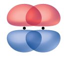 Two peanut-shaped orbitals are shown, lying vertically and parallel with one another. They overlap one another along the top and bottom of the orbital.