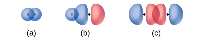 Three diagrams are shown and labeled “a,” “b,” and “c.” Diagram a shows two spherical orbitals lying side by side and overlapping. Diagram b shows one spherical and one peanut-shaped orbital lying near one another so that the spherical orbital overlaps with one end of the peanut-shaped orbital. Diagram c shows two peanut-shaped orbitals lying end to end so that one end of each orbital overlaps the other.