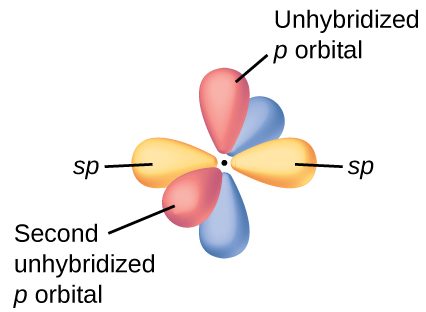 A diagram of a carbon atom with two balloon-like purple orbitals labeled, “sp” arranged in a linear fashion around it is shown. Four red balloon-like orbitals are aligned in pairs in the y and z axes around the carbon and are labeled, “unhybridized p orbital,” and, “Second unhybridized p orbital.”