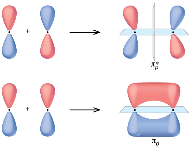 Two horizontal rows of diagrams are shown. The upper and lower diagrams both begin with two vertical peanut-shaped orbitals with a plus sign in between followed by a right-facing arrow. The upper diagram shows the same vertical peanut orbitals bending slightly away from one another and separated by a dotted line. It is labeled, “pi subscript p superscript asterisk.” The lower diagram shows the horizontal overlap of the two orbitals and is labeled, “pi subscript p.”