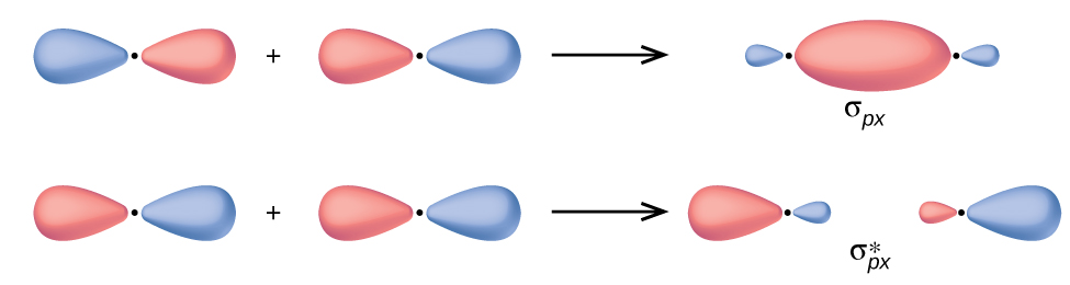 Two horizontal rows of diagrams are shown. The upper diagram shows two equally-sized peanut-shaped orbitals with a plus sign in between them connected to a merged orbital diagram by a right facing arrow. The merged diagram has a much larger oval at the center and much smaller ovular orbitals on the edge. It is labeled, “sigma subscript p x.” The lower diagram shows two equally-sized peanut-shaped orbitals with a plus sign in between them connected to a split orbital diagram by a right facing arrow. The split diagram has a much larger oval at the outer ends and much smaller ovular orbitals on the inner edges. It is labeled, “sigma subscript p x superscript asterisk”.