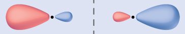 Two orbitals are shown lying end-to-end. Each has one enlarged and one small side. The small sides are facing one another and are separated by a vertical dotted line.