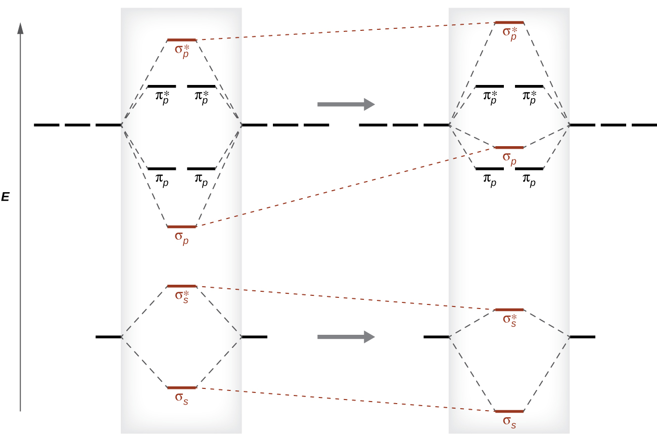 A diagram is shown. At the bottom left of the diagram is a horizontal line that is connected to the right and left by upward-facing, dotted lines to two more horizontal lines. Those two lines are connected by upward-facing dotted lines to another line in the center of the diagram but farther up from the first. Each of the bottom two central lines has a vertical downward-facing arrow. Above this structure is a horizontal line that is connected to the right and left by upward-facing, dotted lines to two sets of three horizontal lines and those two lines are connected by upward-facing dotted lines to another line in the center of the diagram, but further up from the first. In between the horizontal lines of this structure are two pairs of horizontal lines that are above the first line but below the second and connected by dotted lines to the side horizontal lines. The bottom and top central lines each have an upward-facing vertical arrow. These two structures are redrawn on the right side of the diagram, but this time, the central lines of the bottom structure are moved downward in relation to the side lines. The upper portion of the structure has its central lines shifted upward in relation to the side lines. This structure also shows the bottom line appearing above the set of two lines.