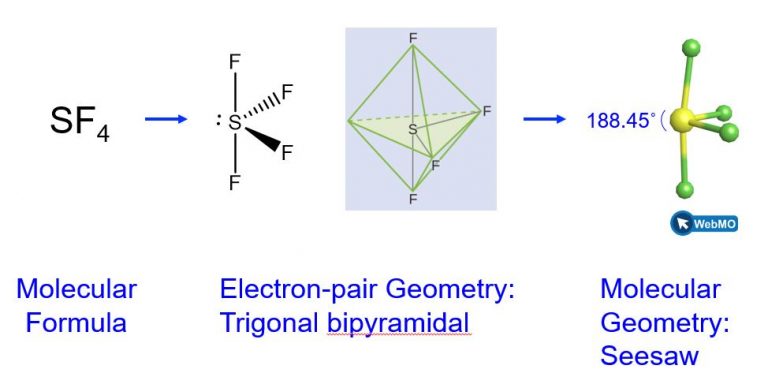 Four representations of sulfur tetrafluoride are shown. In the one at the left, the molecular formula is written as S F subscript 4. Then there is a right facing arrow to the Lewis structure. In the Lewis structure, the sulfur atom is in the middle with one lone pair to the left. The fluorine atoms are arranged on top, bottom and to the right. There are two fluorine atoms on the right of the sulfur, one has a wedge and one has a dash. These are all single bonds between sulfur and fluorine. There is also an image of the sulfur atom at the center of an octahedron, showing that there is a fluorine on top and bottom in the axial positions and then two in the equatorial positions around the center. The label beneath says “electron-pair geometry: trigonal bipyramidal”. Then there is a right facing arrow to a structure that is a ball and stick model that shows a screenshot of the geometry as seen on Web M O. There is a yellow sphere in the middle for sulfur, then the bonds are represented as sticks and there are light green balls at the end of each of 4 sticks, for the 4 fluorine atoms. The bond angle between the F on top the S and the F on bottom is labeled as 188.45 degrees. The label beneath reads “molecular geometry: seesaw”.