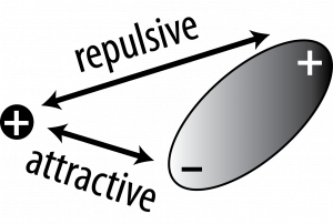 The image shows a cation, represented as a circle with a plus sign and a polar molecule, represented as an oval with a plug sign on one end and a negative sign on the other. There is an arrow between the cation and the positive end of the dipole that is labeled "repulsive". There is another arrow that points to the cation and the negative end of the dipole labeled