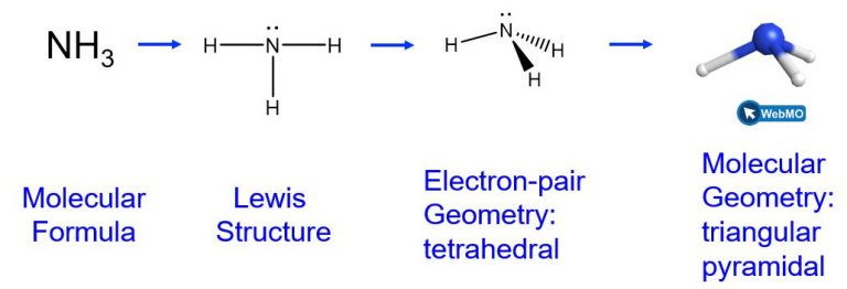 Four representations of ammonia are shown. In the one at the left, the molecular formula is written as N H subscript 3. Then there is a right facing arrow to the Lewis structure. In the Lewis structure, the nitrogen atom has a single bond to each of three hydrogen atoms. There is also a lone pair on the nitrogen. These hydrogen atoms are arranged to the bottom, left and right of the nitrogen atom and the lone pair is on top. Then there is a right facing arrow to a structure labeled “Electron-pair geometry: tetrahedral”. In this structure, the nitrogen is in the center and there is a wedge and dash structure showing the 3 hydrogen atoms at the corners of the tetrahedron. The fourth corner of the tetrahedron is occupied by the lone pair. Then there is a right facing arrow to a structure labeled “Molecular geometry: trigonal pyramidal”. This structure is a ball and stick model that shows a screenshot of the geometry as seen on Web M O. There is a blue sphere in the middle for nitrogen, then the bonds are represented as sticks and there are white balls at the end of each of 3 sticks, for the 3 hydrogen atoms. The lone pair is not represented in this structure.