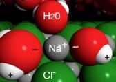 An image of a grey sphere labeled as Na+ with a red sphere on top labeled as H2O and a green sphere labeled as Cl-. And on the left and right side there is a larger red sphere with a - and a connecting white sphere labeled with a +. And in the background there are a lot of green spheres.
