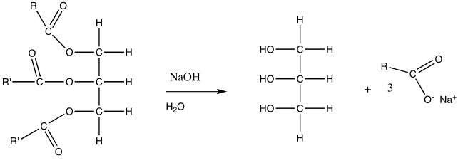 Triglycerides decompose into glycerol and fatty acid.