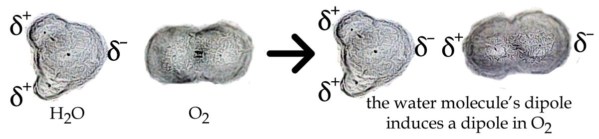 dipole-induced dipole interactions between a water molecule and a O2 molecule.