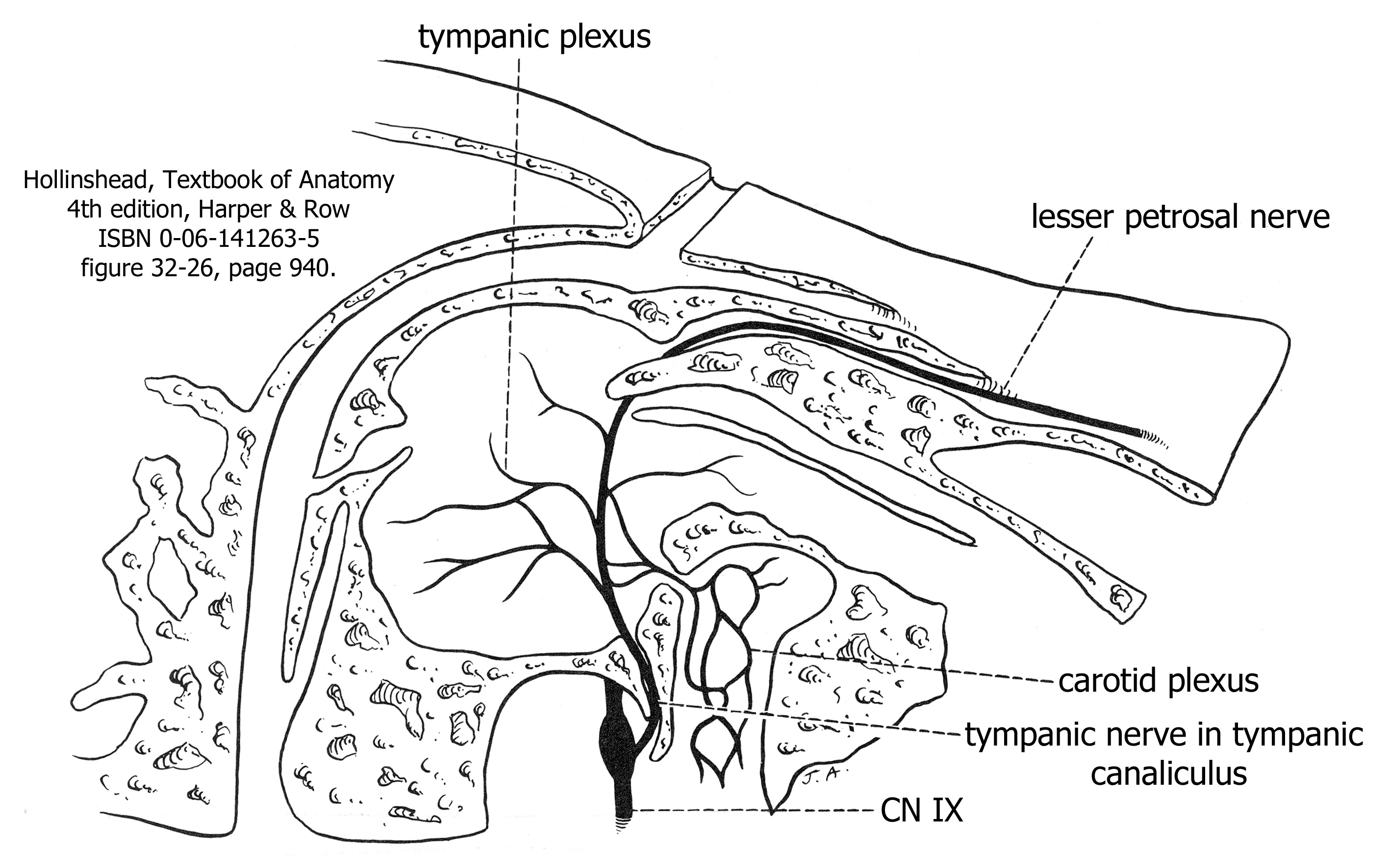 Human Anatomy for Physician Assistant Students - Unit 3 - Head and Neck